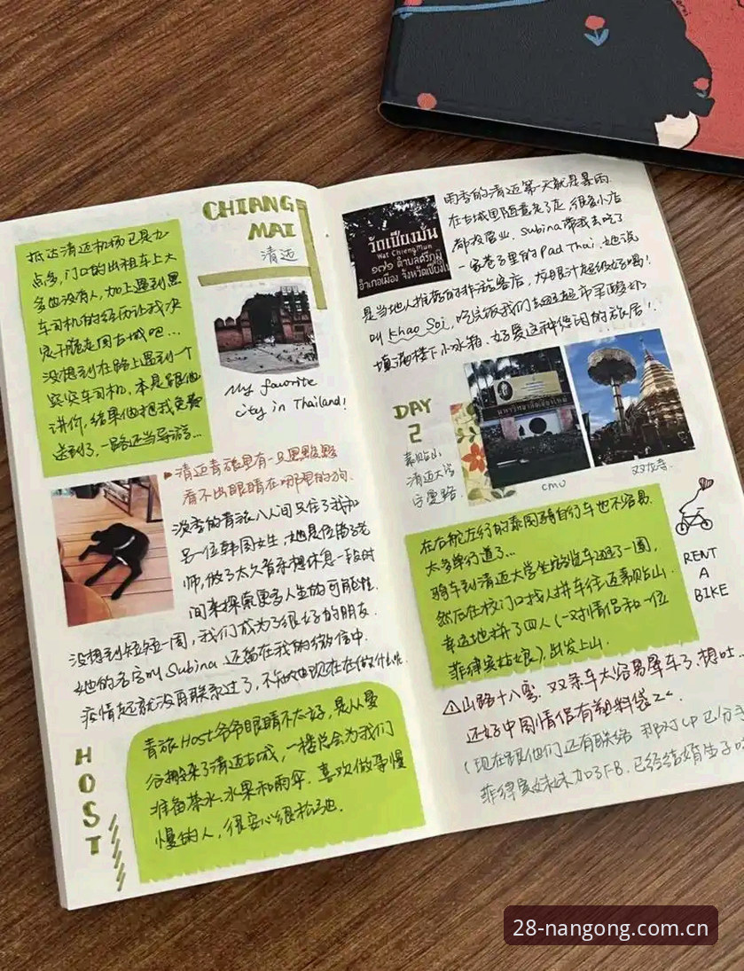 资深用户手记：南宫28平台投注排行的实战拆解与使用心得